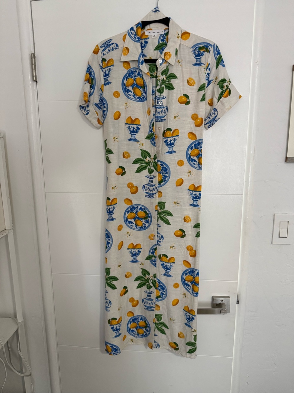 Linen Button-Front Maxi Dress with Citrus & Blue Urn Print